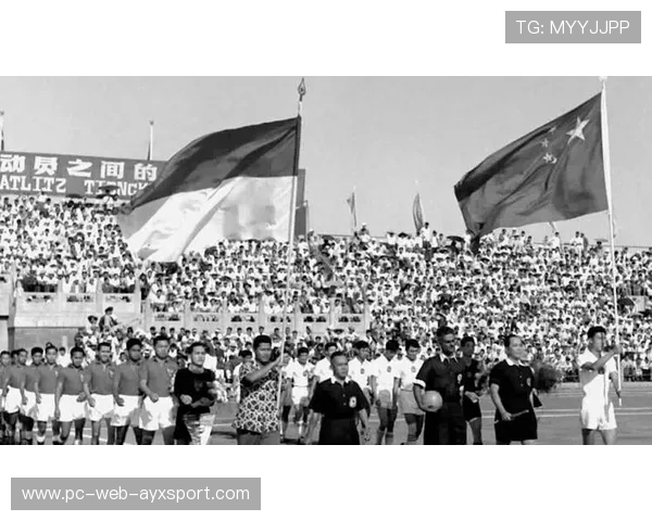 亚洲羽毛球对抗：中国、印尼抢分大战