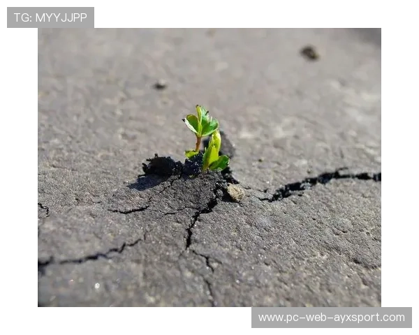 逆境中成长,追求更高的突破!,逆境中成长的示例 逆境中成长,追求更高的突破!,逆境中成长的示例